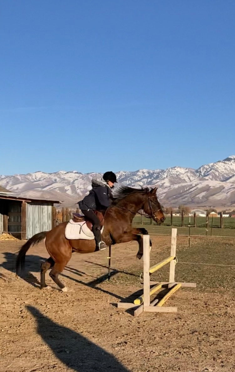 Private Lessons